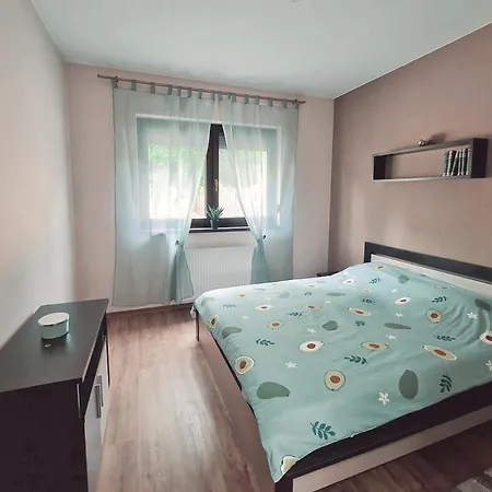 Cozy Apartment